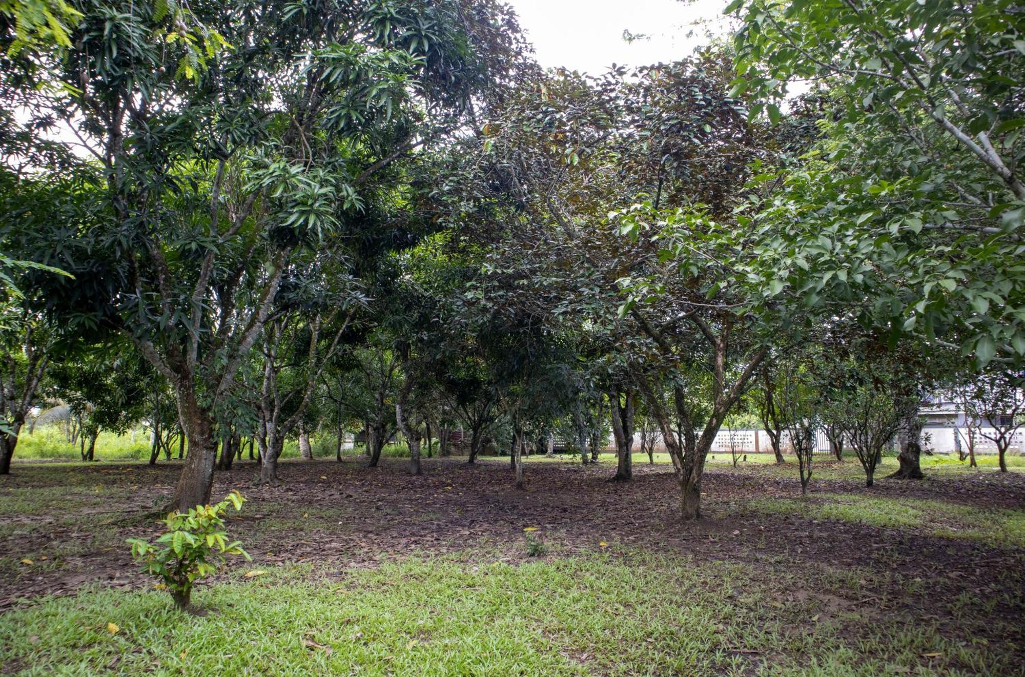 Sabajo Appartement Verhuur Paramaribo Ngoại thất bức ảnh