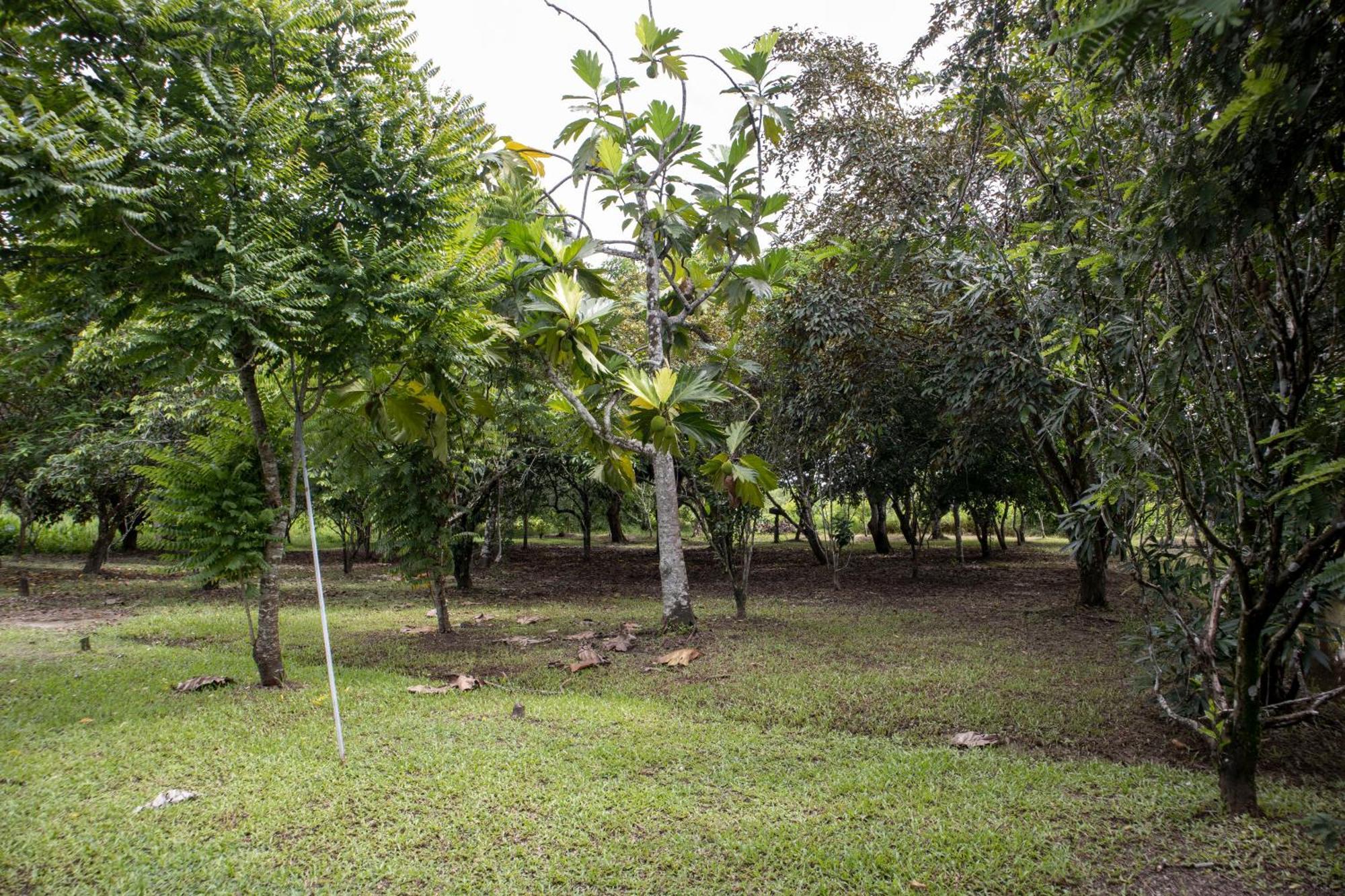 Sabajo Appartement Verhuur Paramaribo Ngoại thất bức ảnh